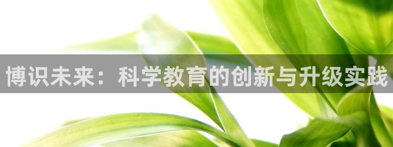 鸿运链锁管理平台