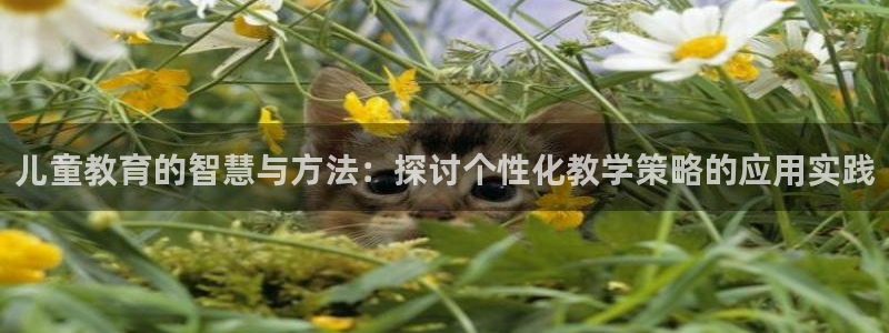鸿运平台怎么赚钱